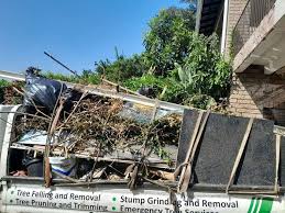 Professional Junk Removal in Tracy, CA